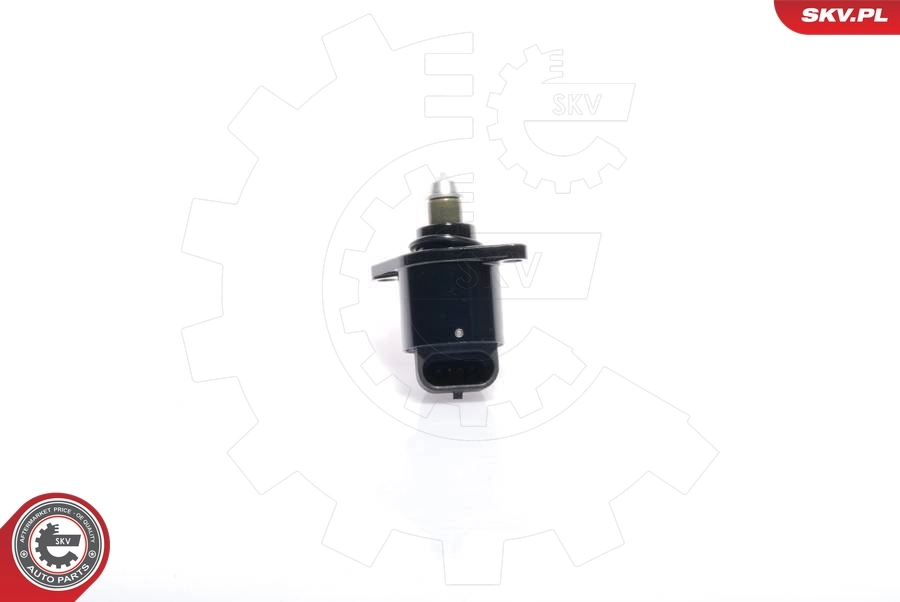 Idle Control Valve, air supply